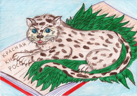 Красная книга рисунок