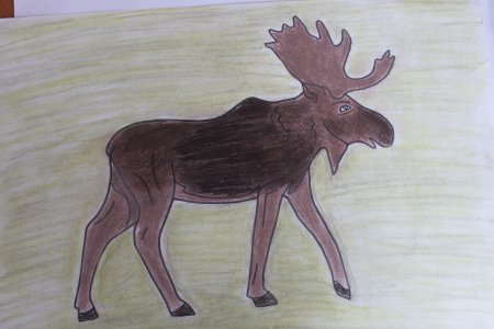 Детские рисунки лося