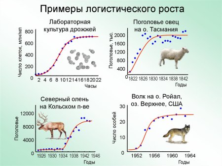 Модель экспоненциального роста популяции