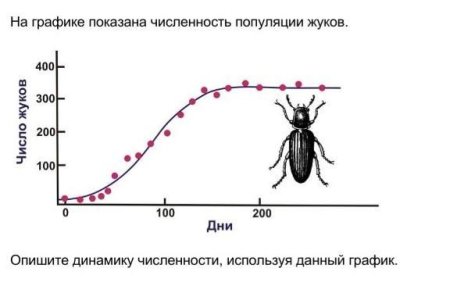 График роста численности популяции