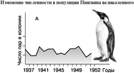 Изменение численности популяции