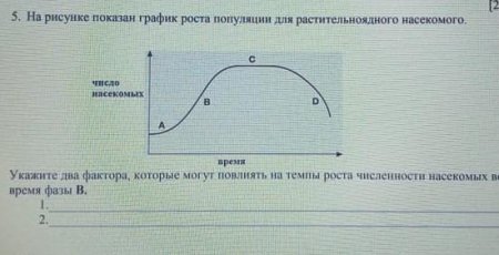 График насекомых численность
