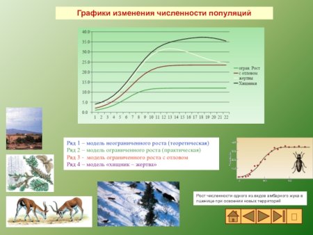 График изменения численности популяции