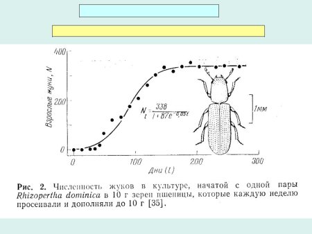 Примеры роста популяции