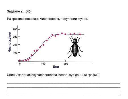 График динамики численности популяции