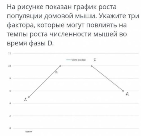 График роста численности домовых мышей