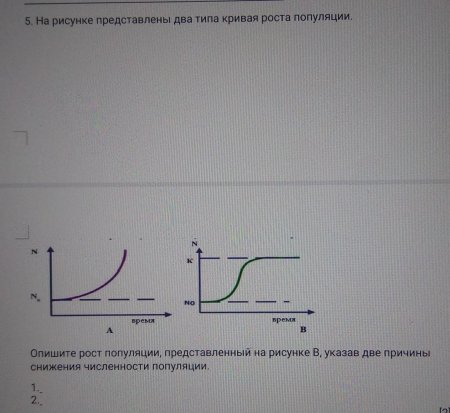 2 Типа роста популяции
