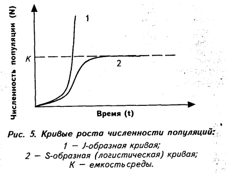 S образная кривая роста популяции
