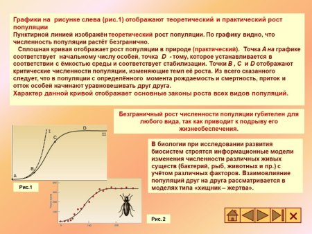 Рост численности популяции