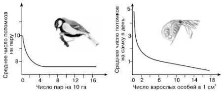 Графики в биологии
