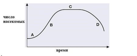 График роста насекомого
