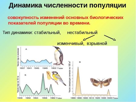Динамика численности популяции
