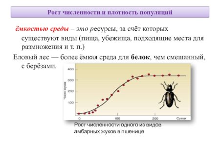 Емкость среды популяции