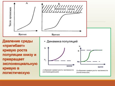 Пространственная структура популяций животных таблица