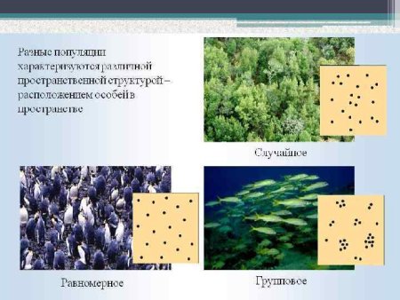 Рост популяции при освоении