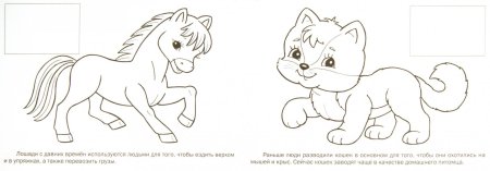 Раскраски на тему домашние животные