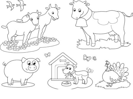 Раскраски для детей старшей группы про домашних животных