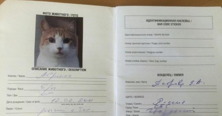 Ветеринарный паспорт животного