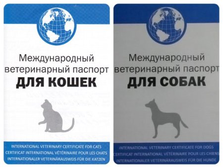 Как выглядит Международный ветеринарный паспорт для собак
