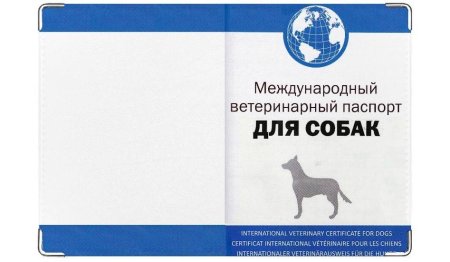 АВЗ ветеринарный паспорт для кошек
