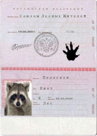 Паспорт для животных