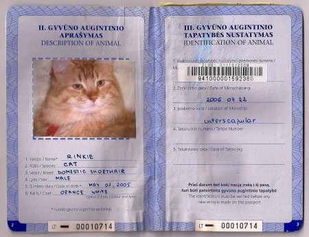 Международный ветеринарный паспорт для кошек образец заполнения