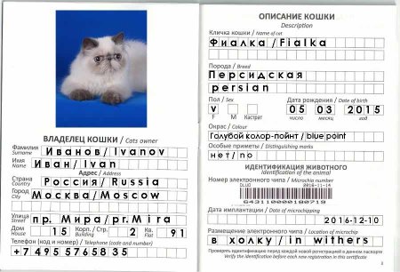 Международный ветеринарный паспорт для кошек образец