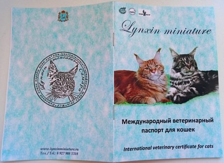 Ветпаспорт для кошки