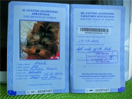 Как правильно заполнять ветеринарный паспорт для собак