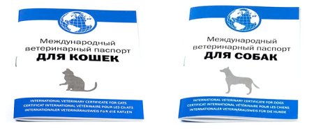 Международный ветеринарный паспорт для собак и кошек
