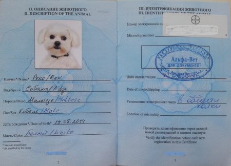 Как заполнить ветеринарный паспорт собаки образец