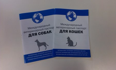 Международный ветеринарный паспорт для кошек прививки