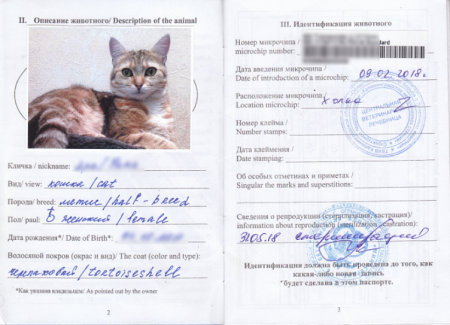 Заполнение ветеринарного паспорта для кота