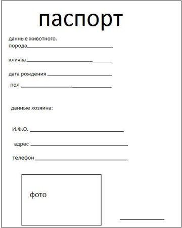 Шаблон паспорта для детей