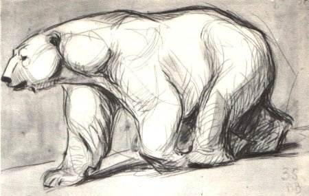 Медведь рисунок карандашом