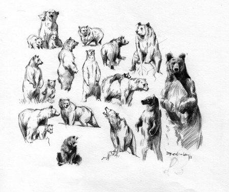 Изображение характера животных