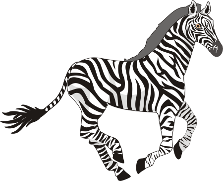 Зебра рисунок