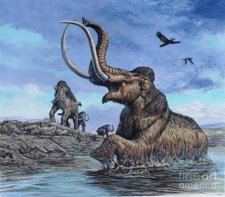 Мегафауна ледникового периода