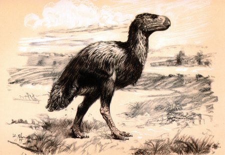 Древняя птица Диатрима