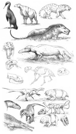 Раскраска древние животные