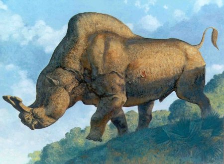 Гигантский Бегемот плейстоцен