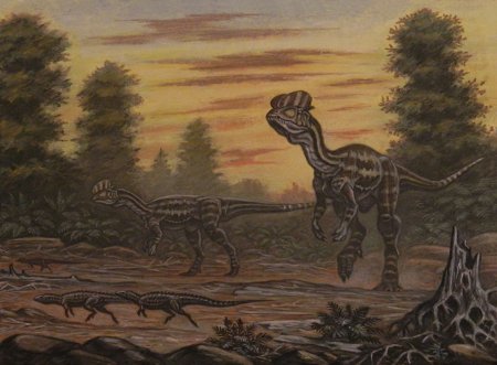 Древние животные