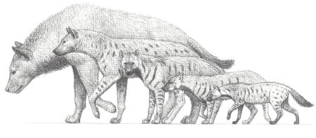 Древняя гигантская гиена