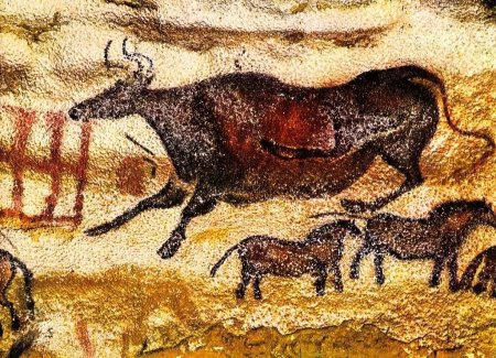 Лошадь пещера Ласко Франция Наскальная живопись палеолита