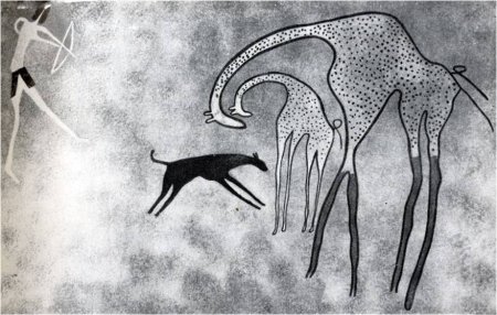Наскальные рисунки первобытных людей охота с собаками