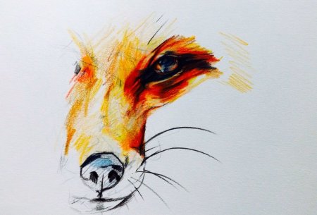 Лиса акварельными карандашами