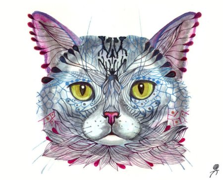 Необычные рисунки кошек