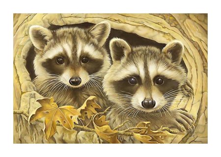 Еноты для декупажа