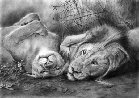 Картины карандашом