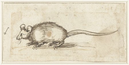 Альбрехт Дюрер анималистика